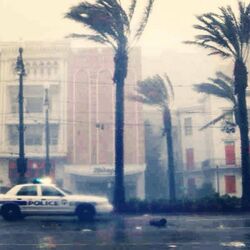 Cover of 7th or St. Tammany