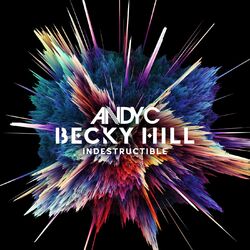 Indestructible (Joshwa Remix)