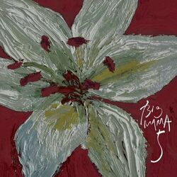 Cover of 5