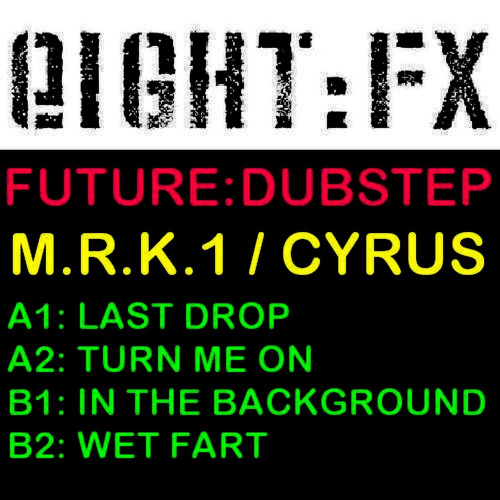 Picture of Future:Dubstep