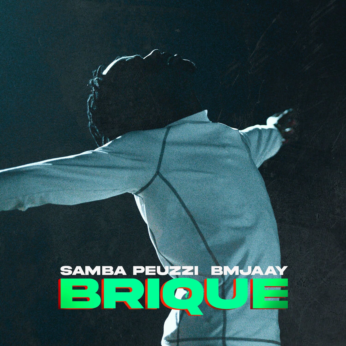 Album cover of Brique