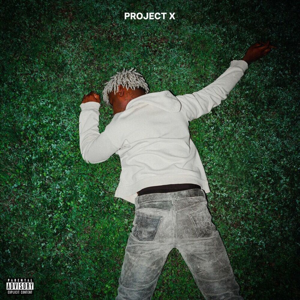 Picture of Project X