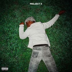 Cover of Project X