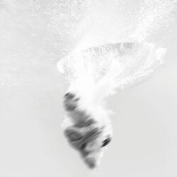 Cover of Breathe