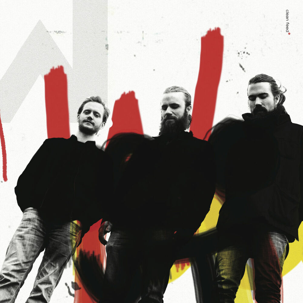 Picture of Momentum