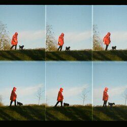 Cover of Having a Good Time, Sometimes