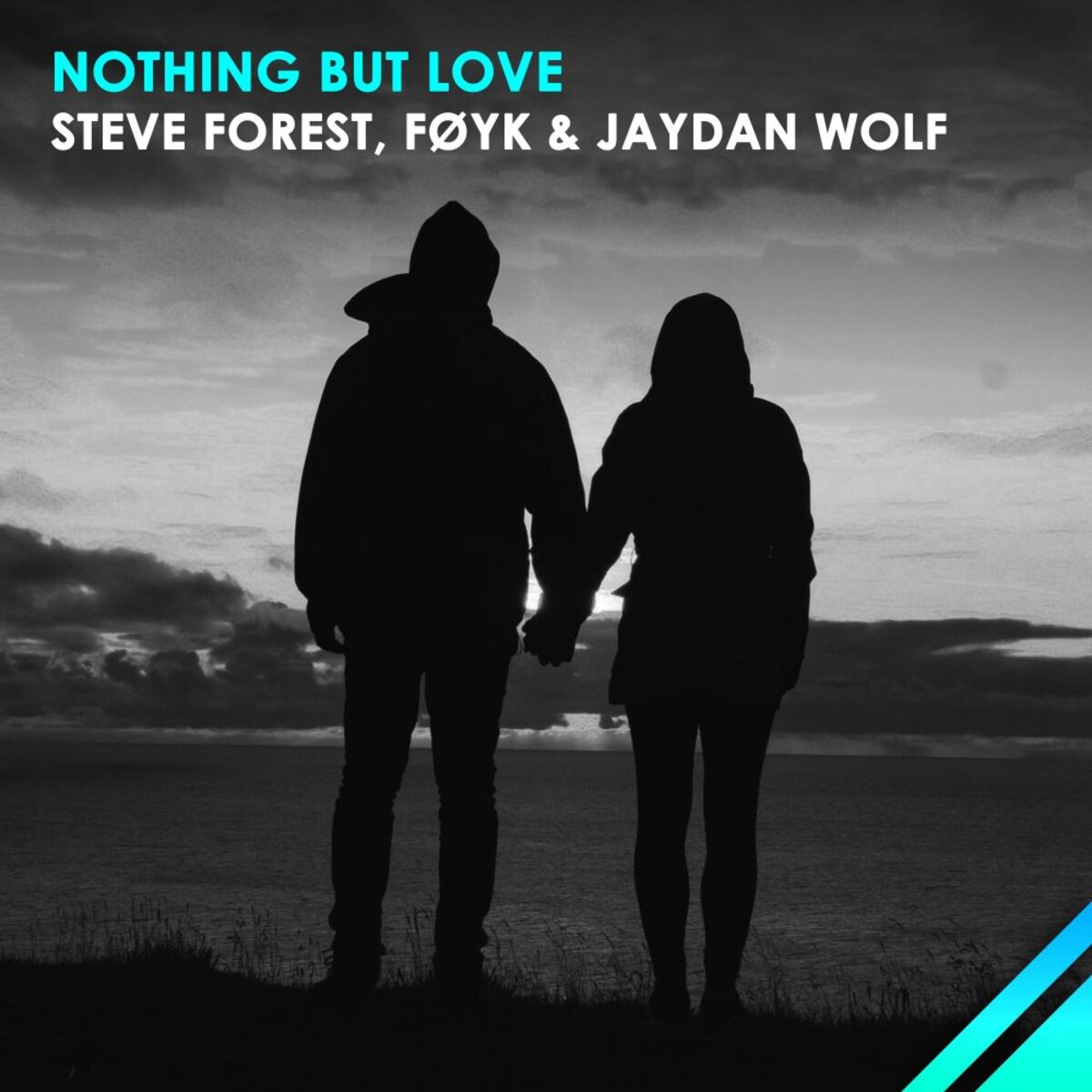 Album cover of Nothing But Love