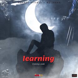 Cover of Learning