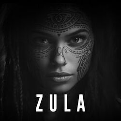 Cover of Zula (Original Mix)