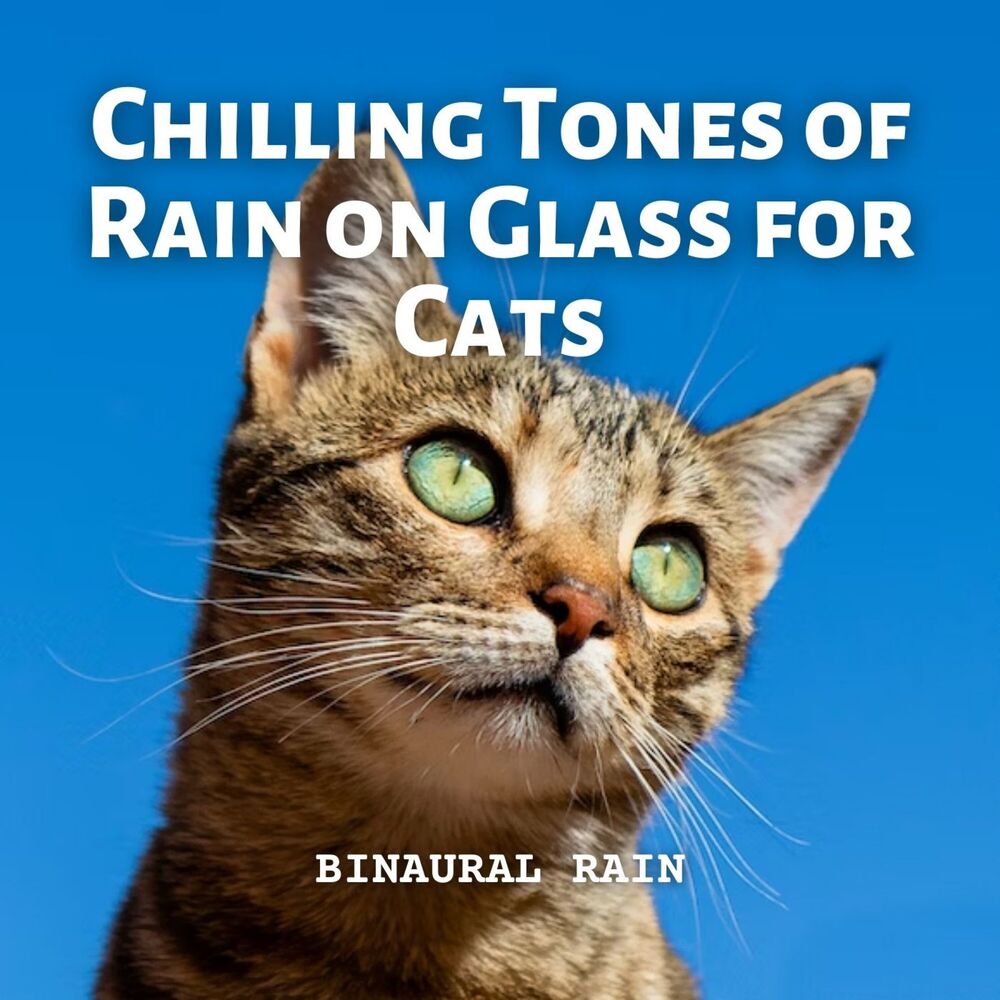 Picture of Binaural Rain: Chilling Tones of Rain on Glass for Cats