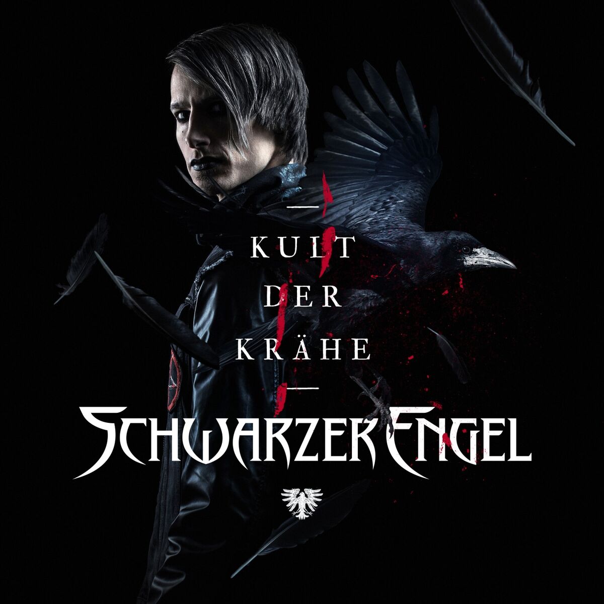 Album cover of Kult der Krähe