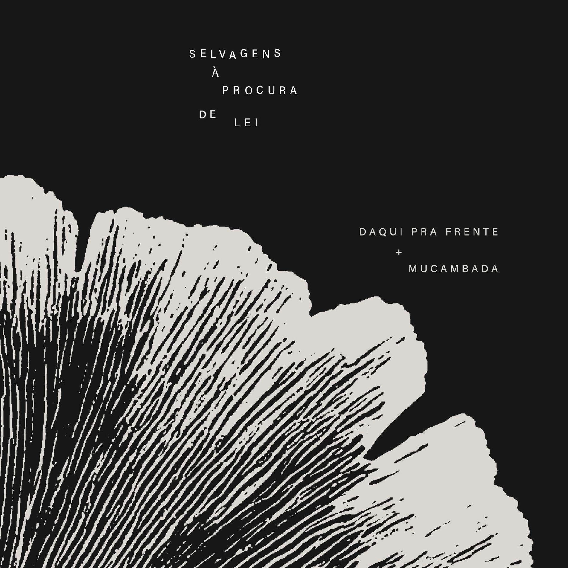 Album cover of Daqui Pra Frente + Mucambada