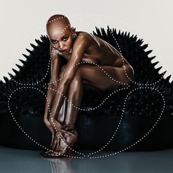 Cover of Perfect Stranger