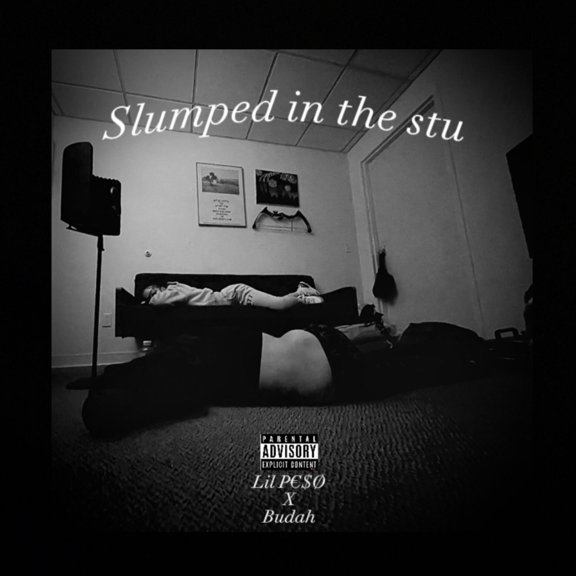Album cover of Slumped In The Stu