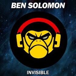 Cover of Invisible