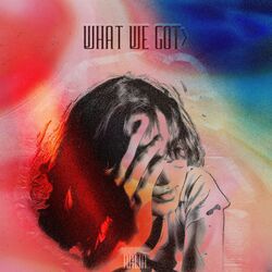 Cover of What We Got