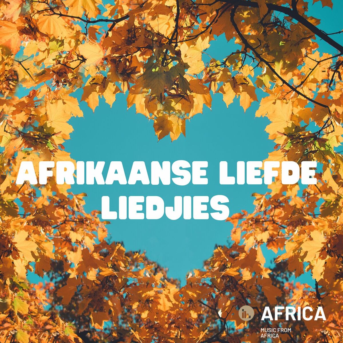 Album cover of Afrikaanse Liefde Liedjies