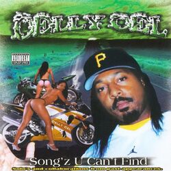 Cover of Song'z U Can't Find