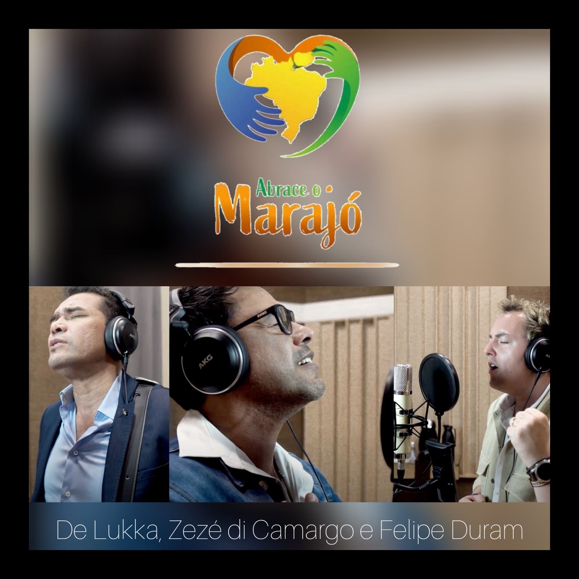 Album cover of Abrace o Marajó