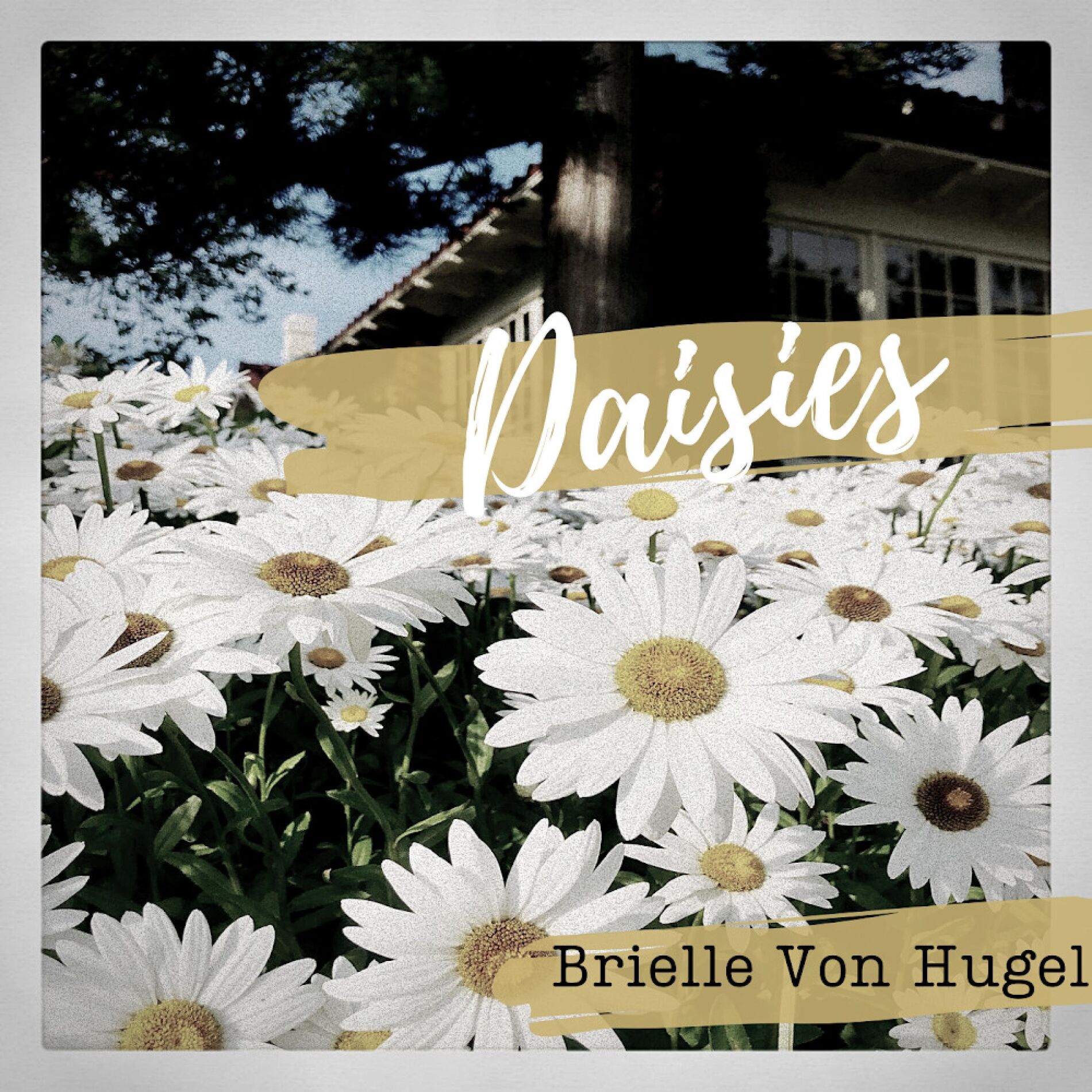 Album cover of Daisies