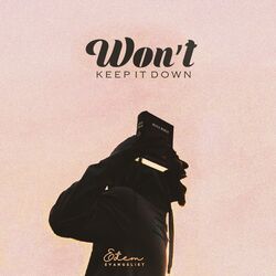 Cover of Won't Keep It Down