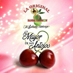 Cover of El Mayor de Mis Antojos
