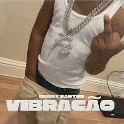 Cover of Vibração