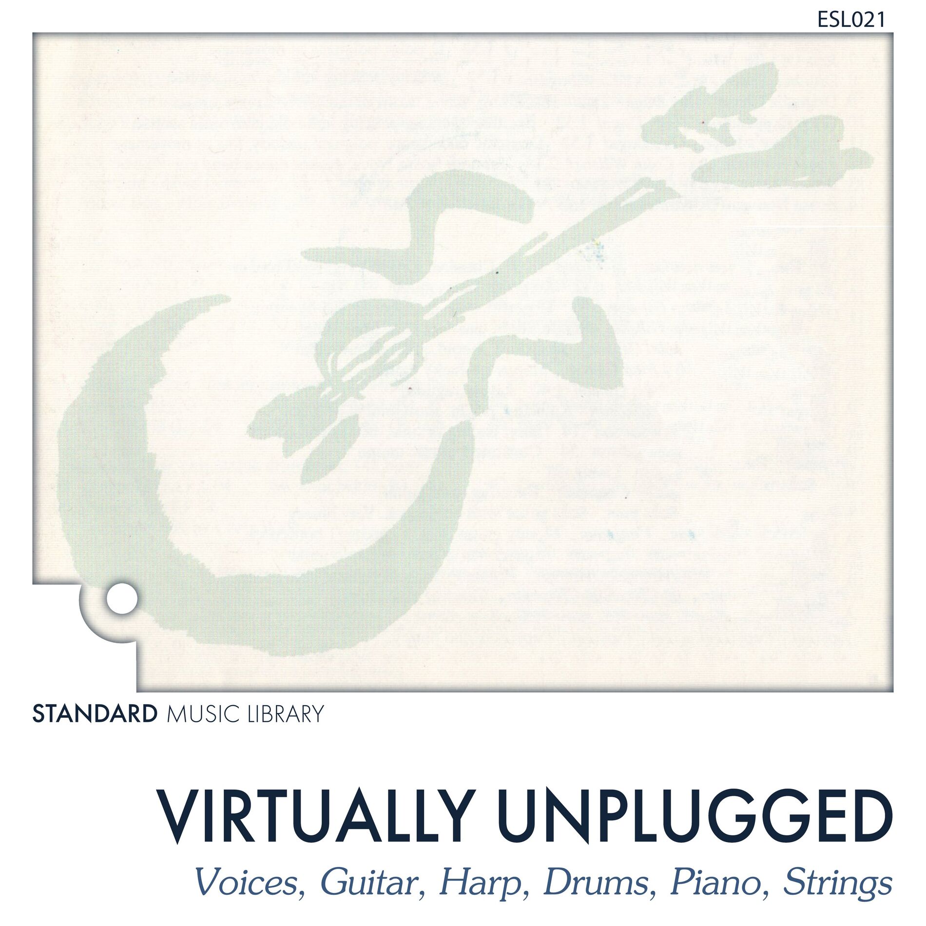 Album cover of Virtually Unplugged