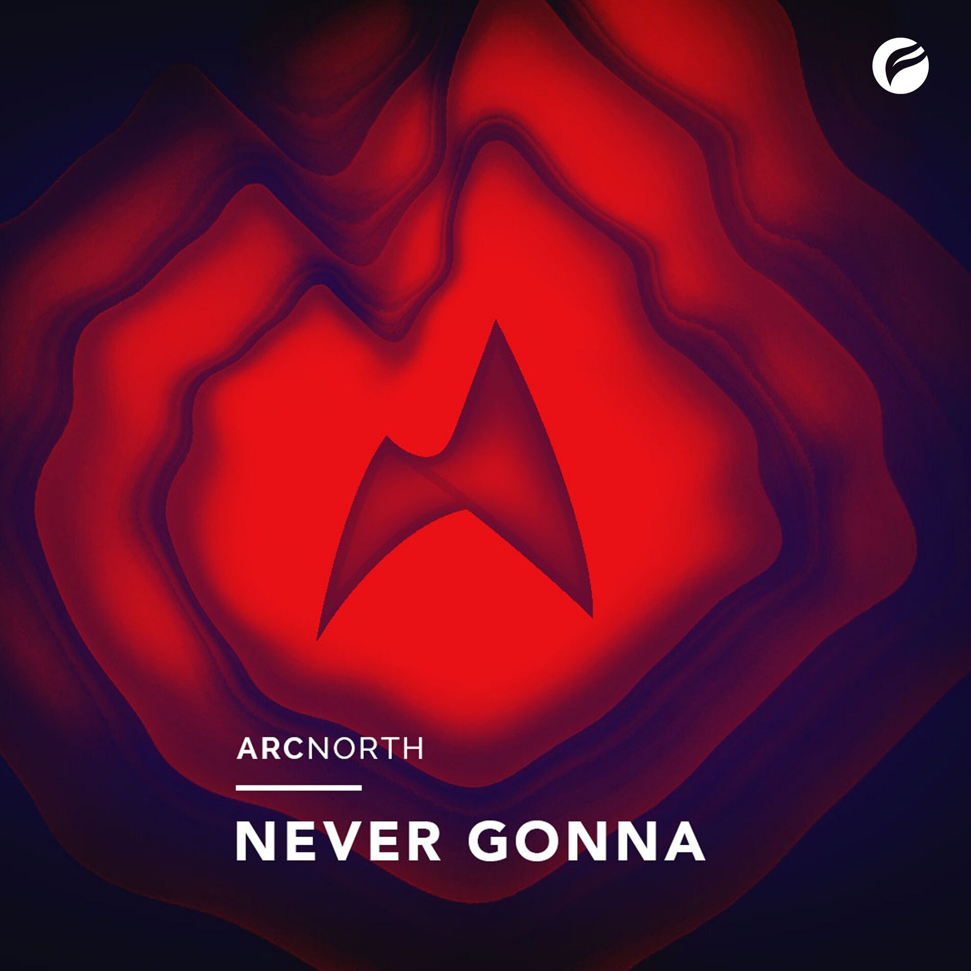 Album cover of Never Gonna