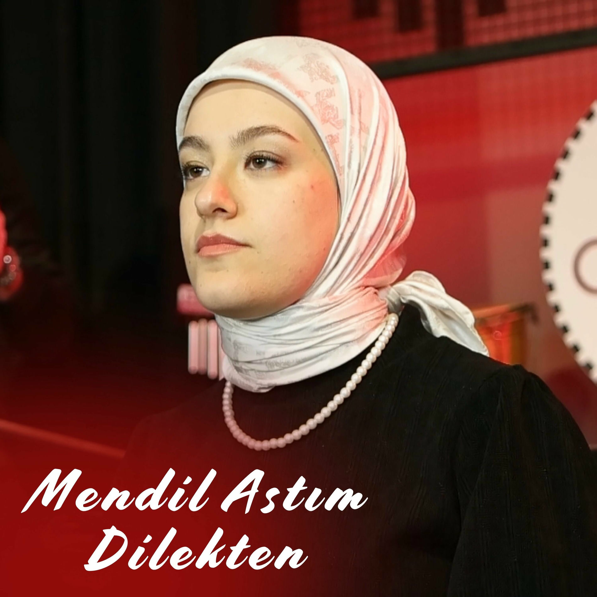 Album cover of Mendil Astım Dilekten