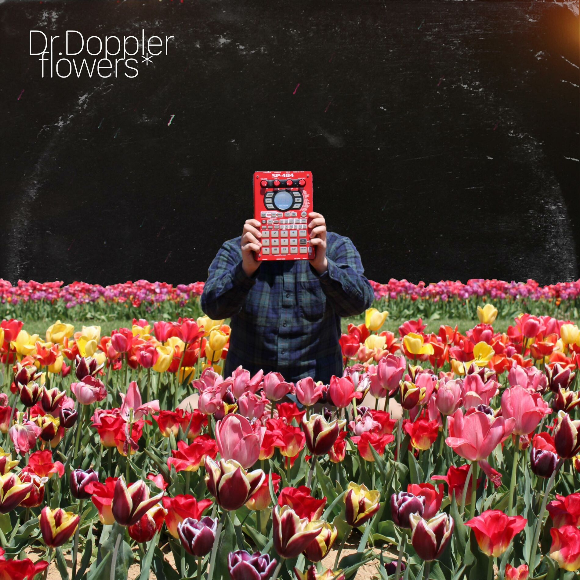 Album cover of flowers*