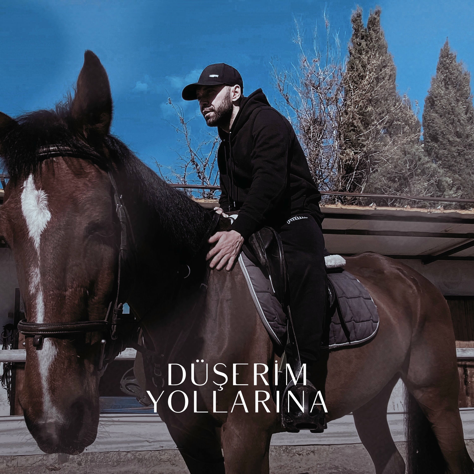 Album cover of Düşerim Yollarına