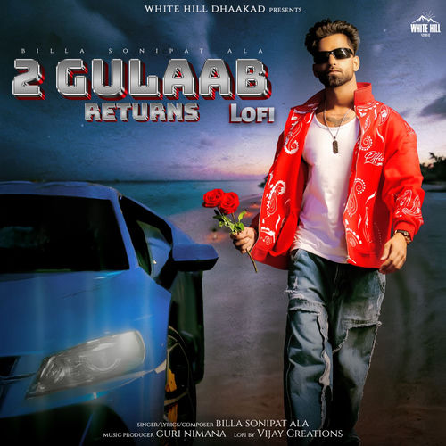 2 Gulaab Returns (Lofi)