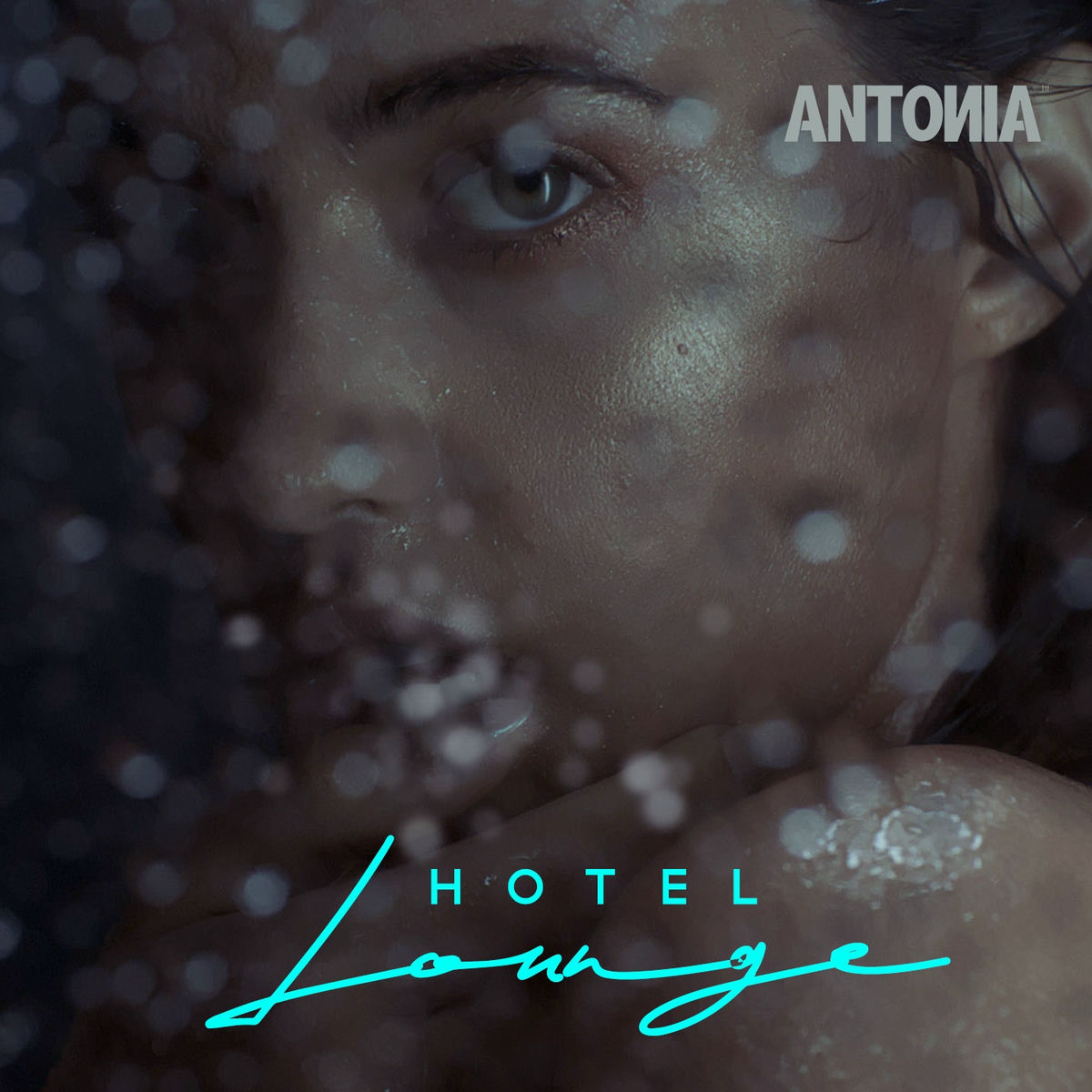 Album cover of Hotel Lounge