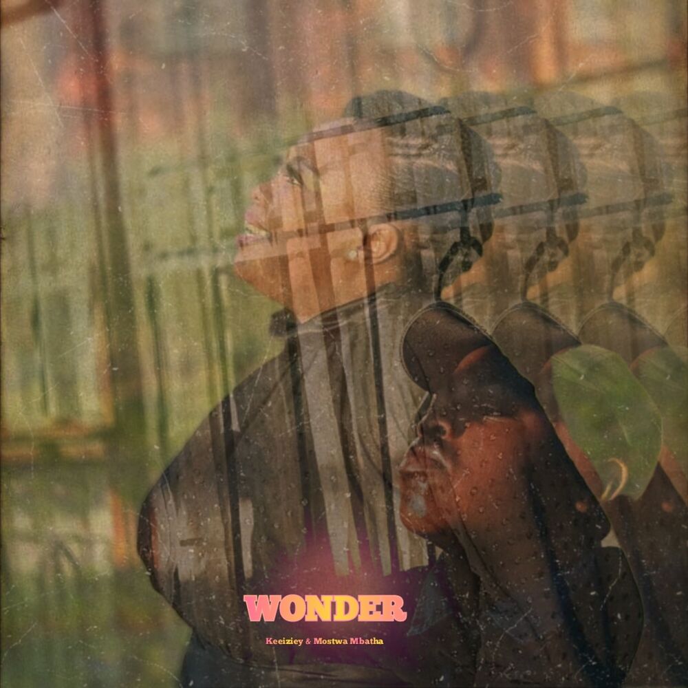 Picture of Wonder