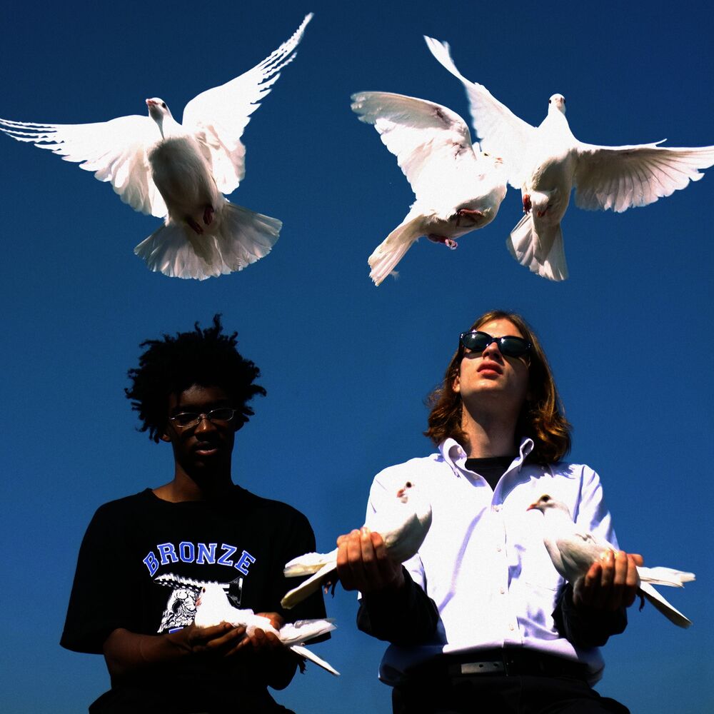 Picture of Birds Fly By Night