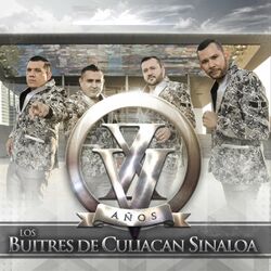 Cover of XV Años