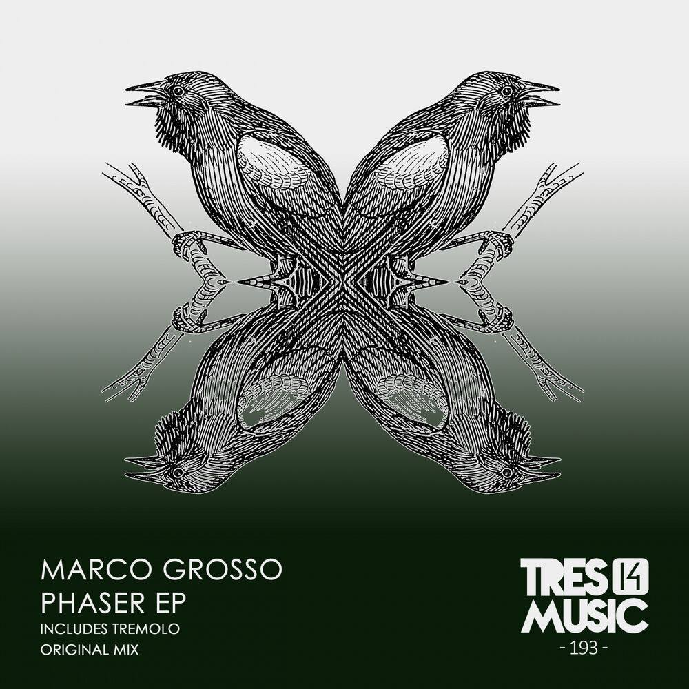 Picture of Phaser