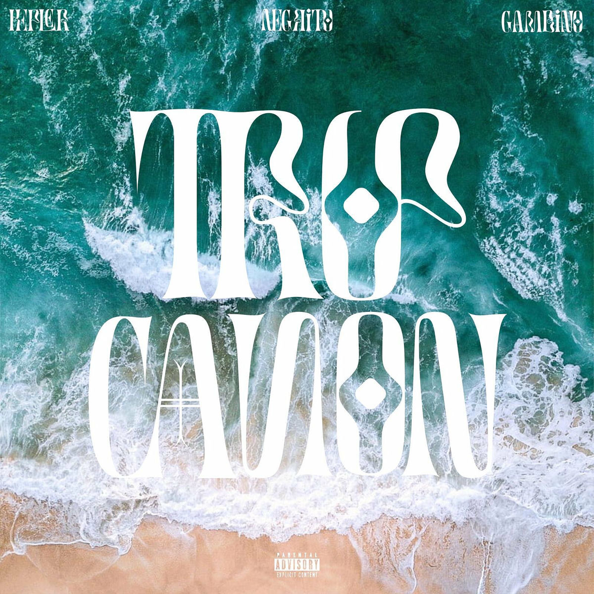 Album cover of Trop canon