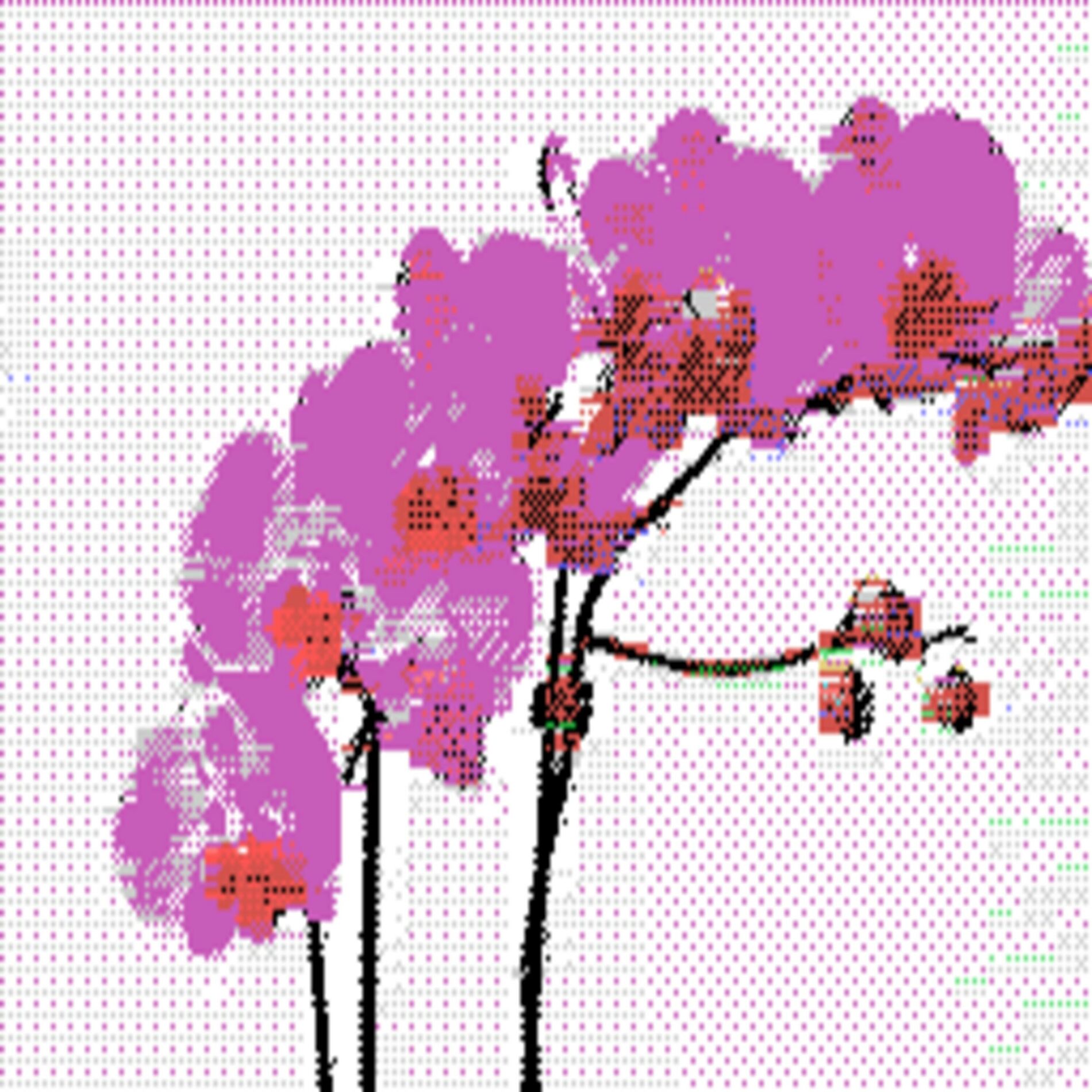 Album cover of orchid