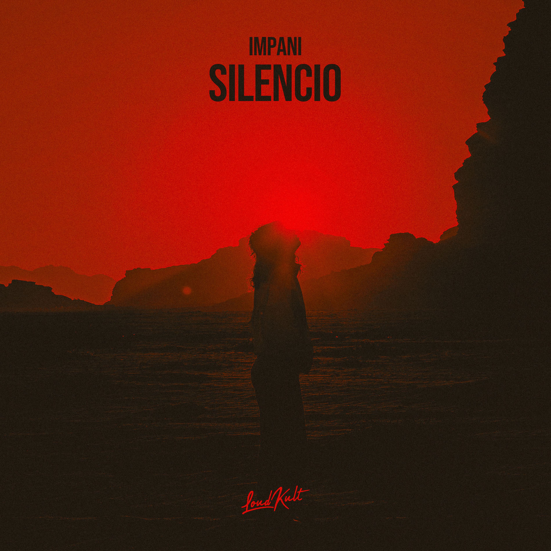 Album cover of Silencio