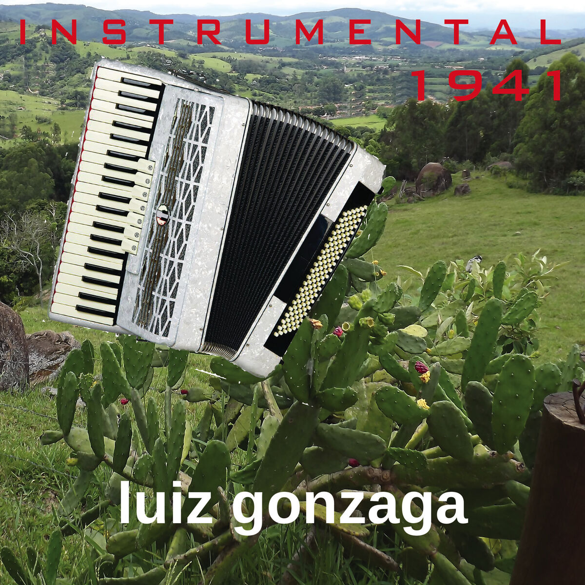 Album cover of Instrumental (1941)