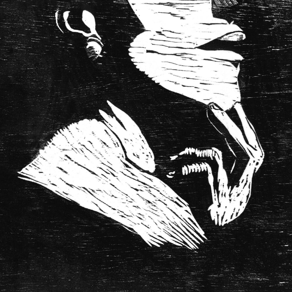 Picture of Thiago França