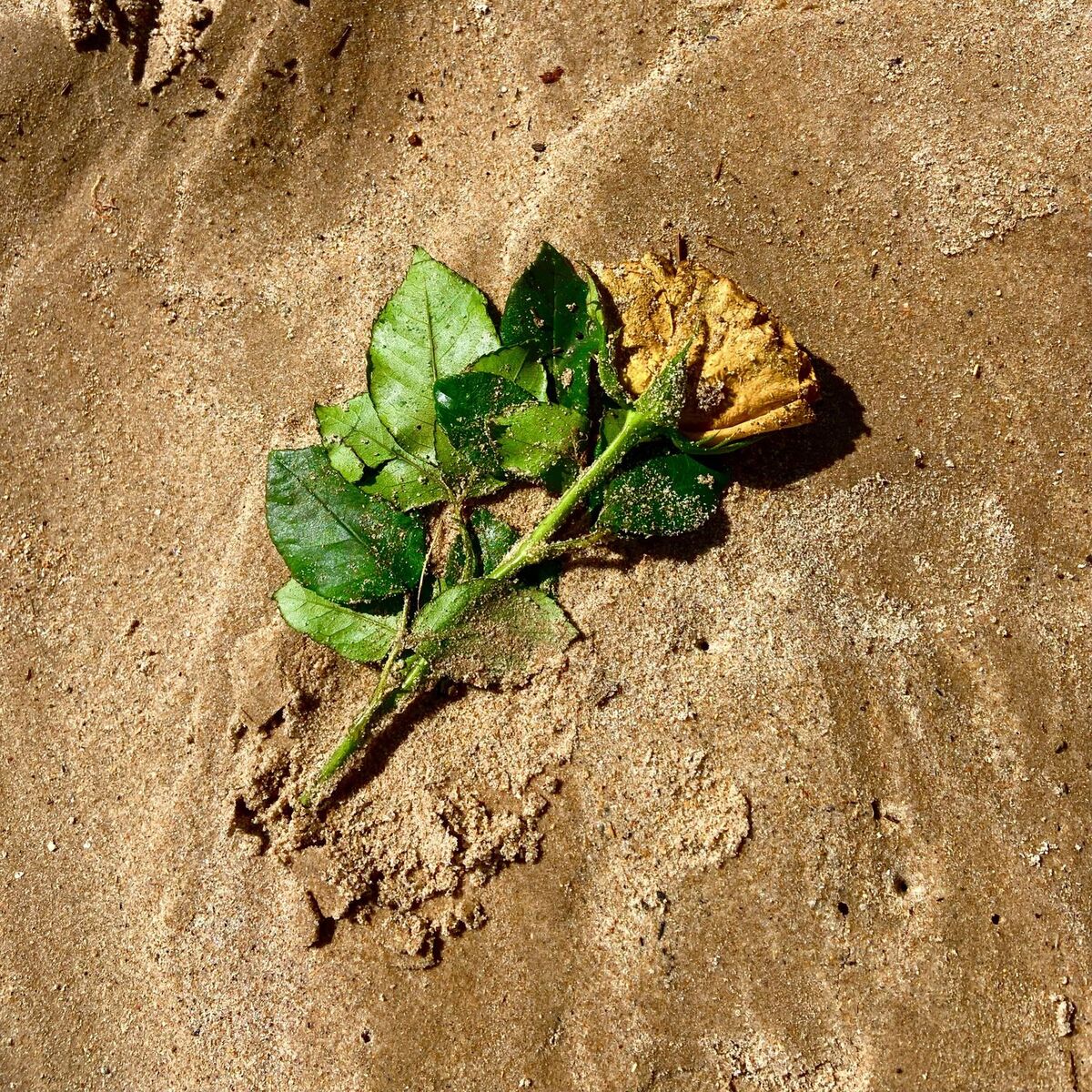 Album cover of Summer Kisses Winter Tears