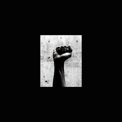 Cover of Any Means Necessary