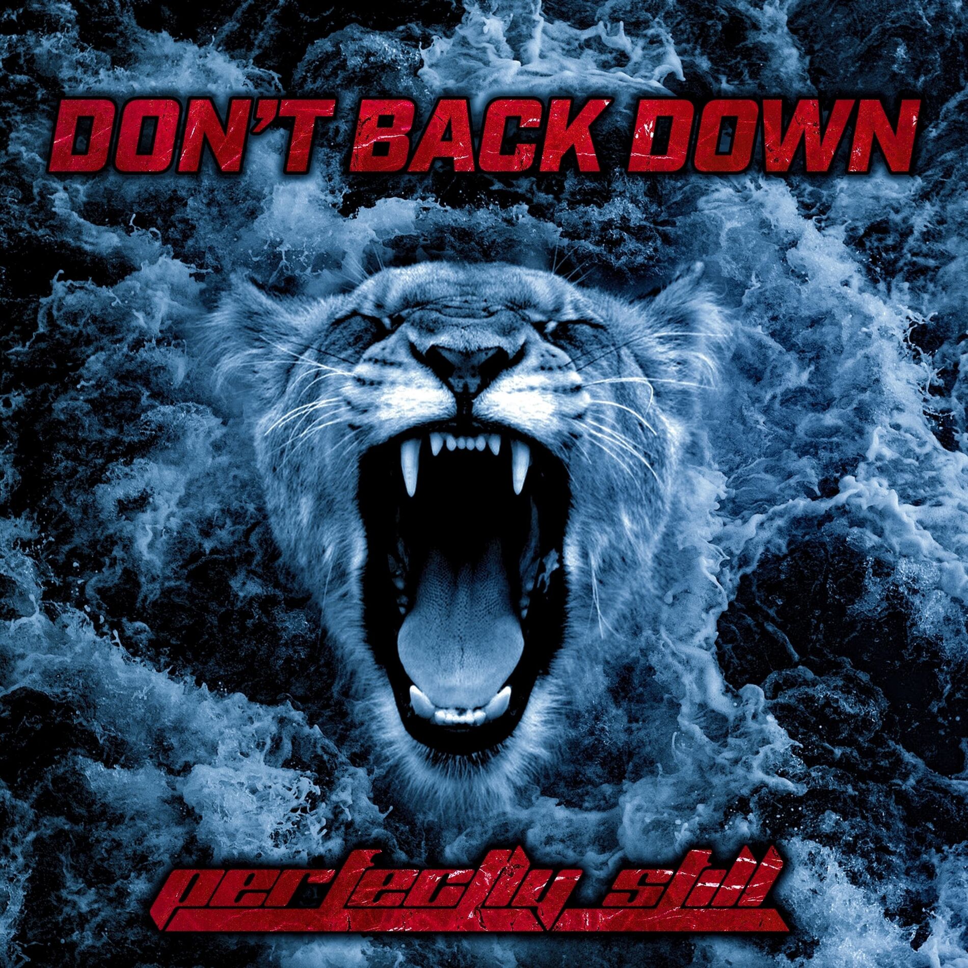 Album cover of Don't Back Down