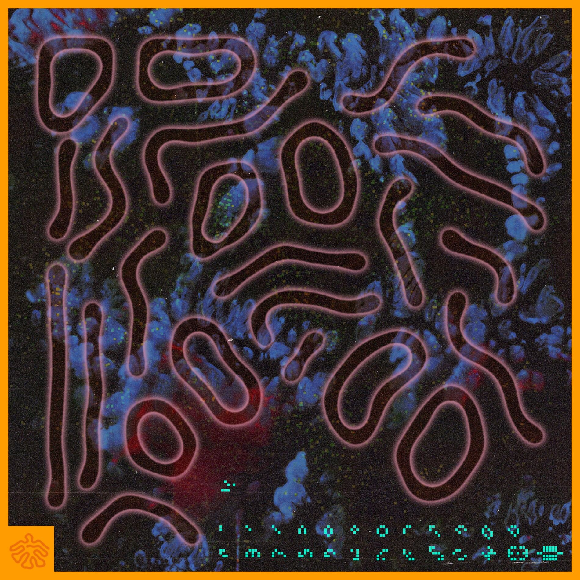 Album cover of Dross Conflict