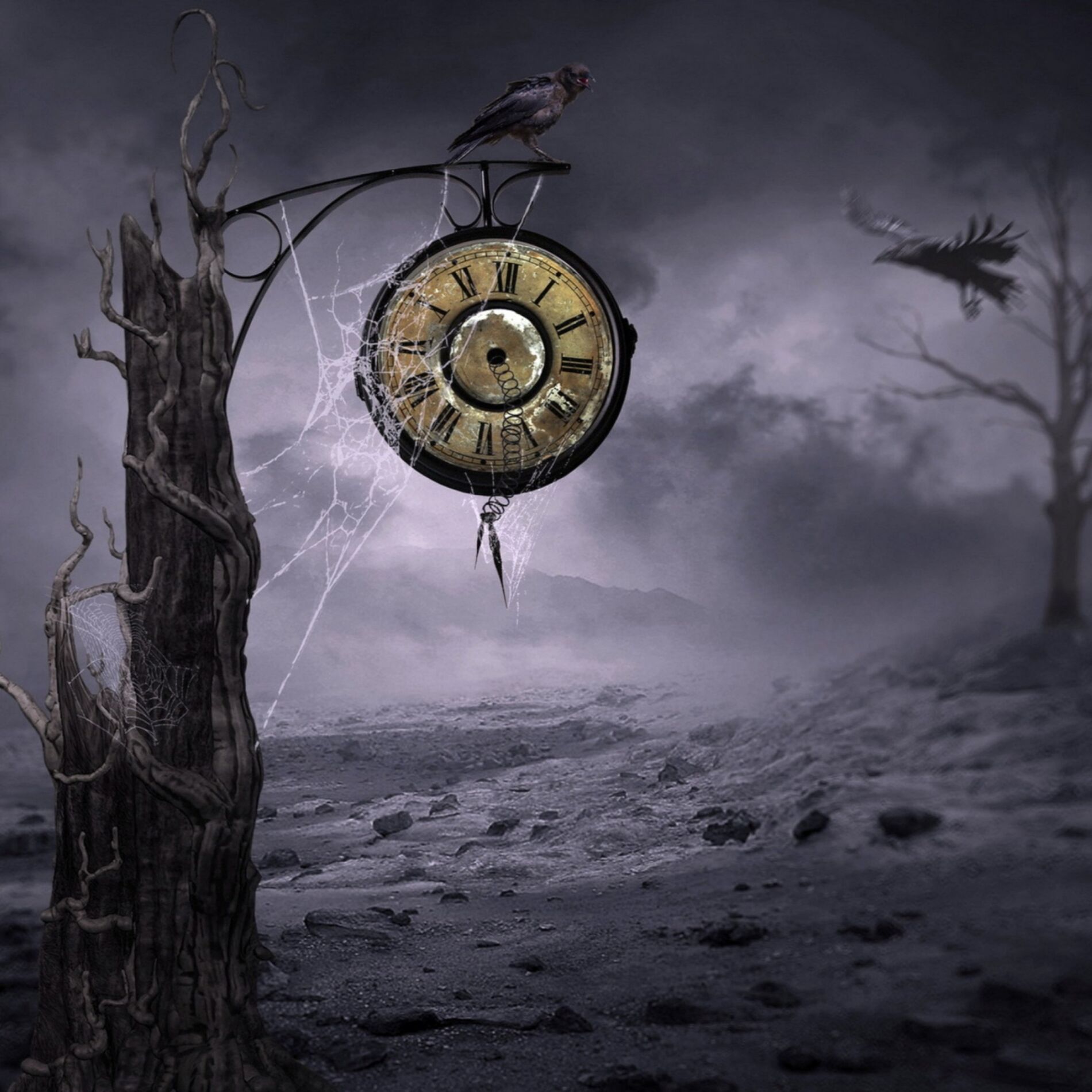 Album cover of Tempus