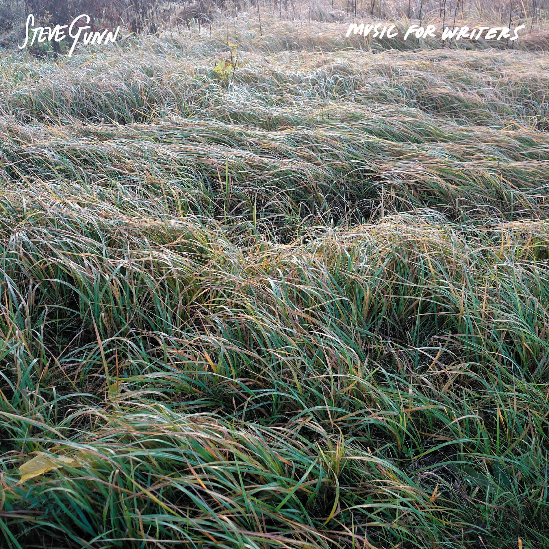 Album cover of Music For Writers