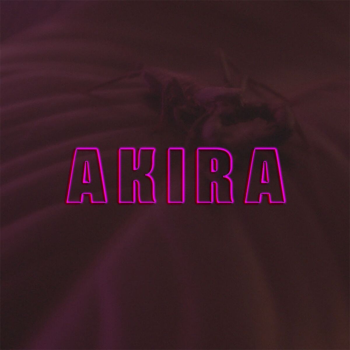 Album cover of Akira
